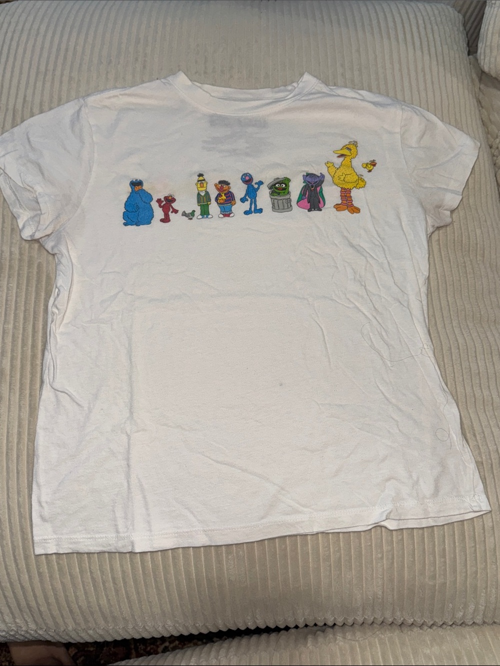 Classic fit Sesame Street graphic tee